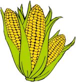 Sweet Corn , Daze (New to Us)